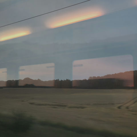 Looking out a dirty train window. Outside is a yellow grainfield and a forest behind it. In the window is the interior ceiling lights and a sunset through the opposite windows reflected.